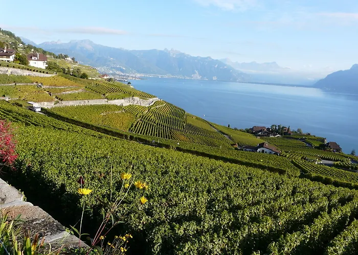 Beau-rivage Palace Lozanna